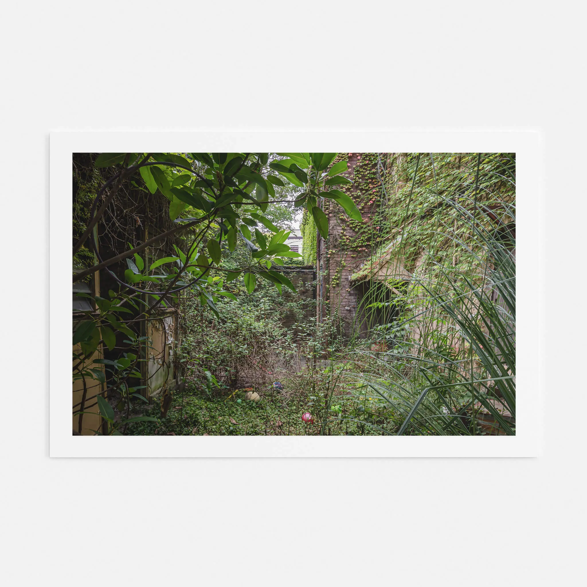 Nature Always Finds A Way | Terminus Hotel
