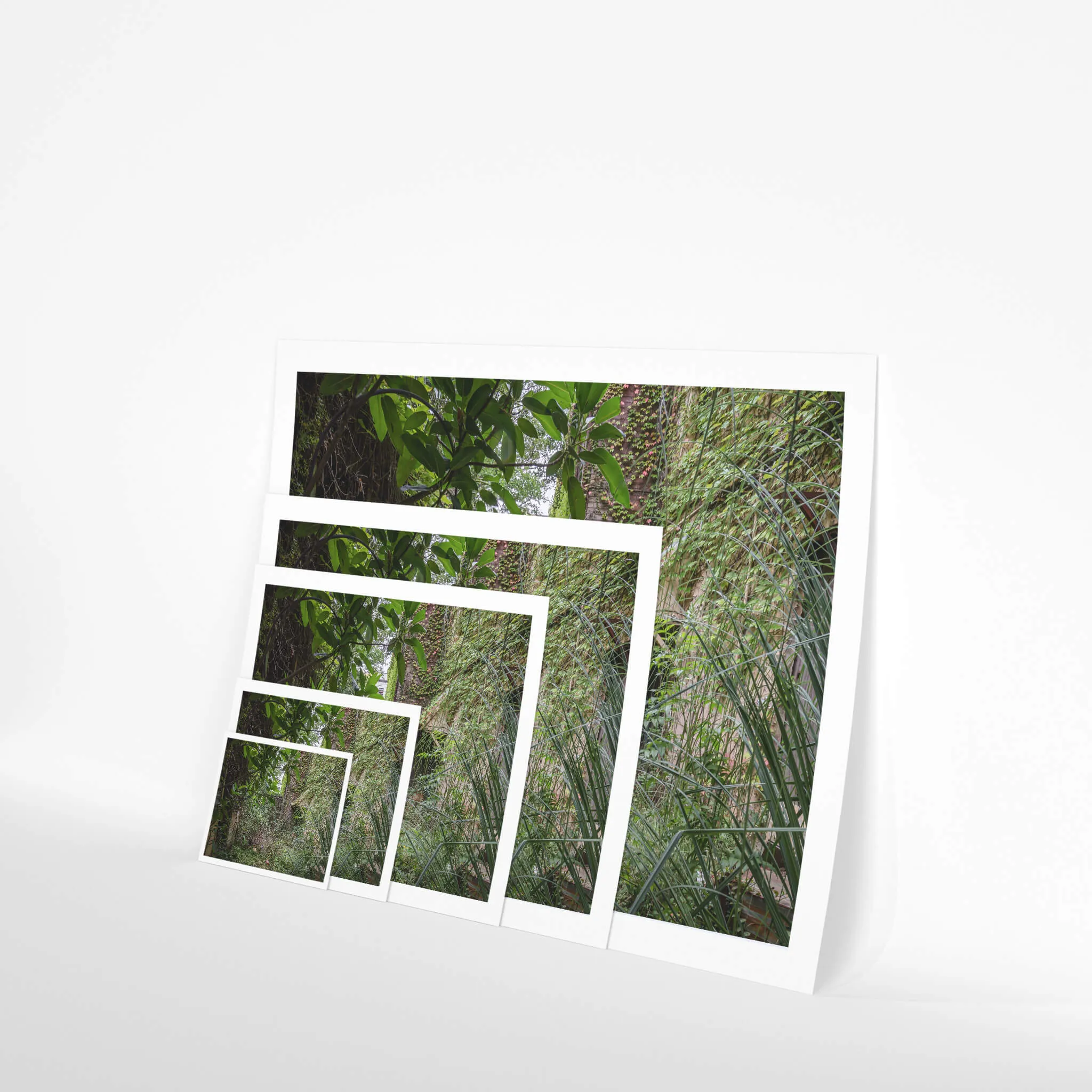 Nature Always Finds A Way | Terminus Hotel