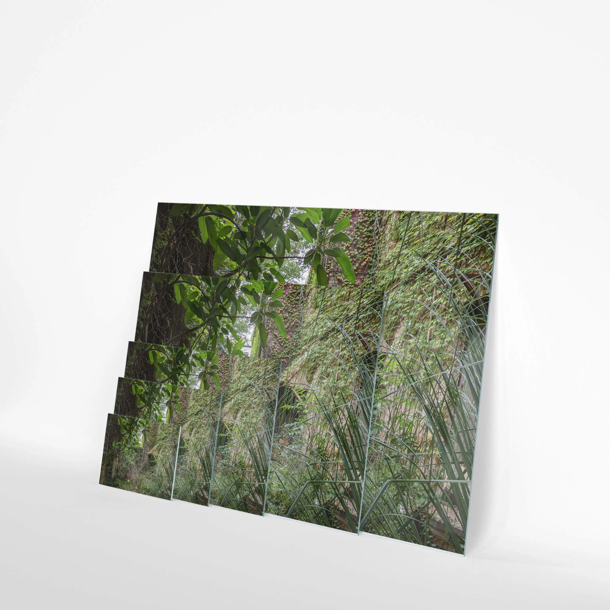 Nature Always Finds A Way | Terminus Hotel