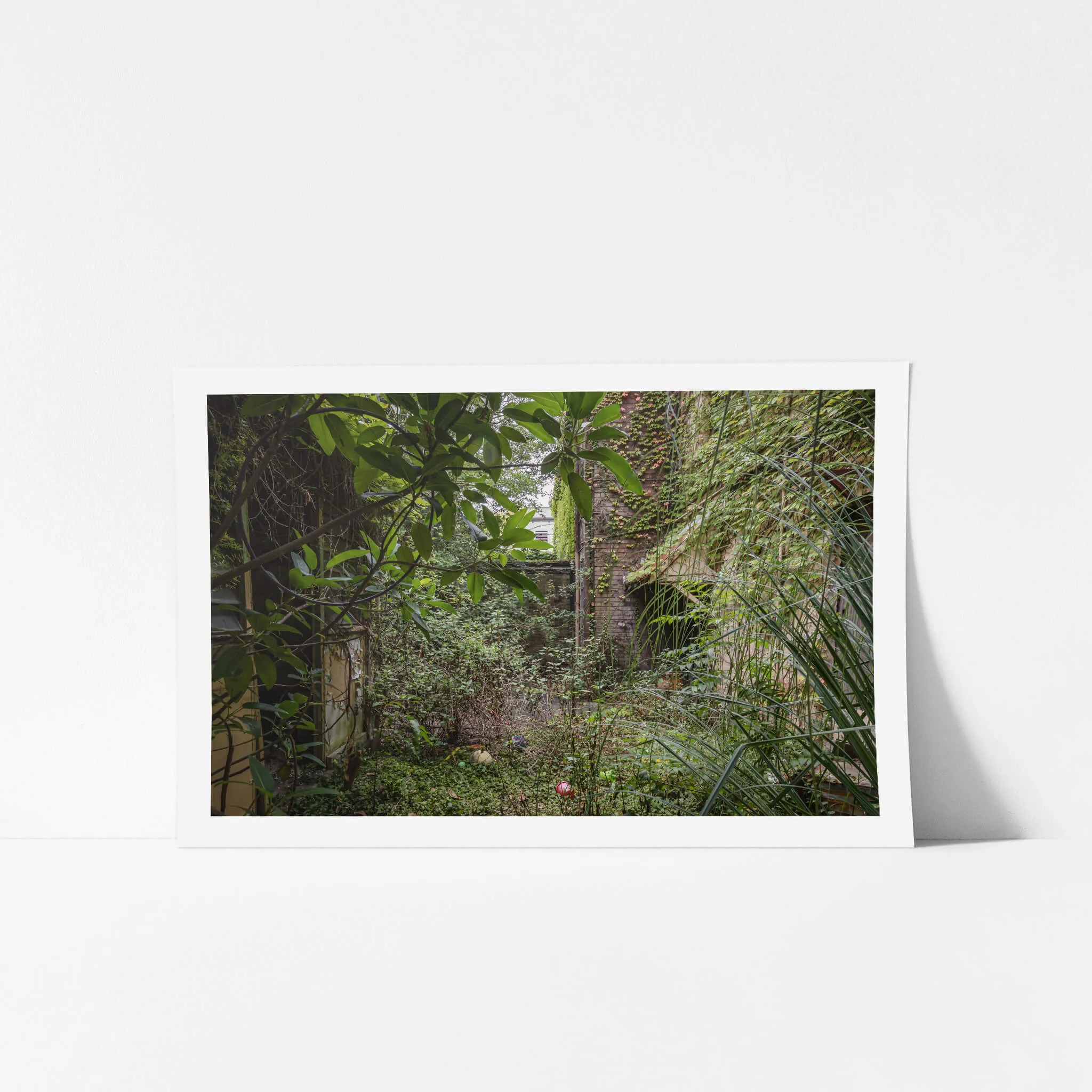 Nature Always Finds A Way | Terminus Hotel