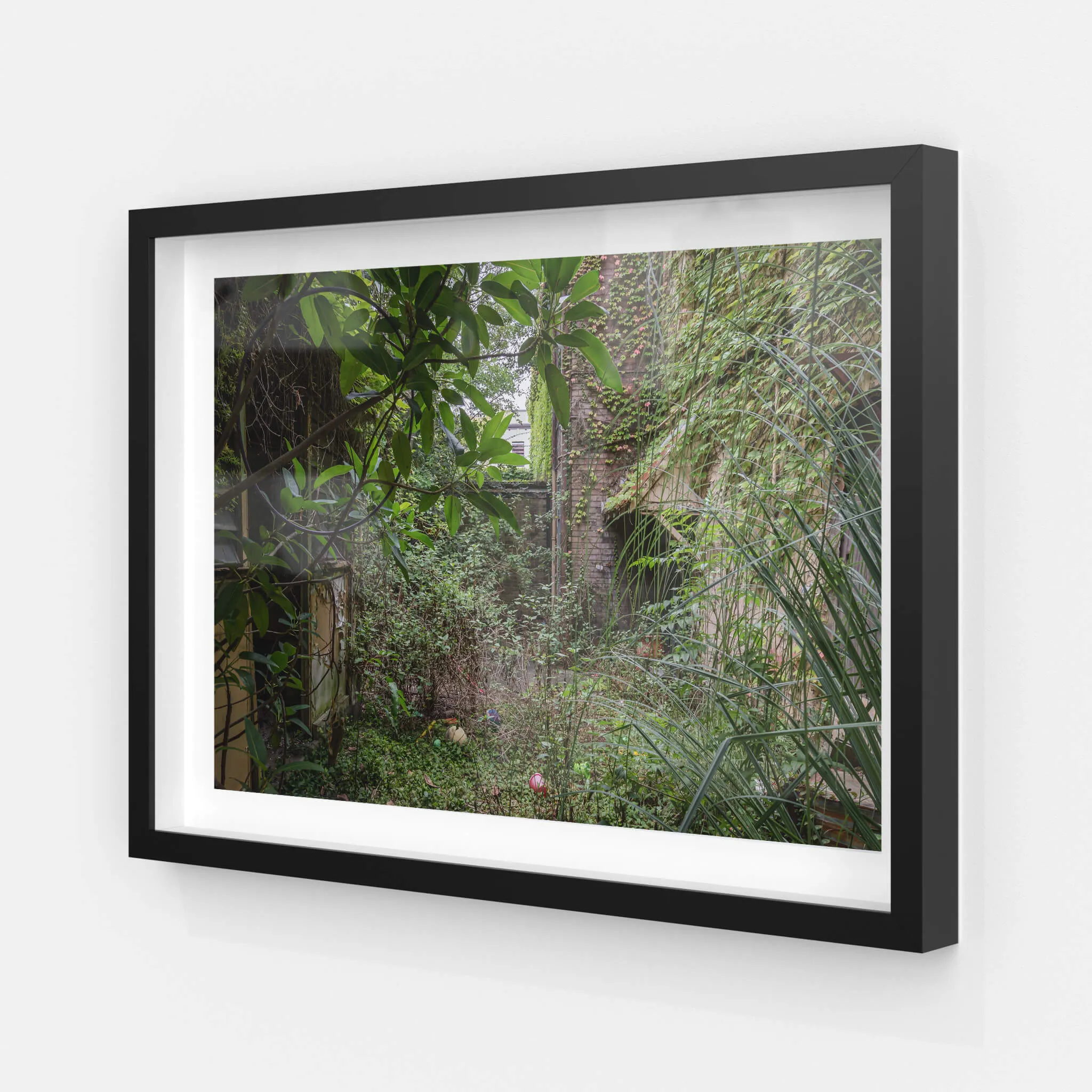 Nature Always Finds A Way | Terminus Hotel