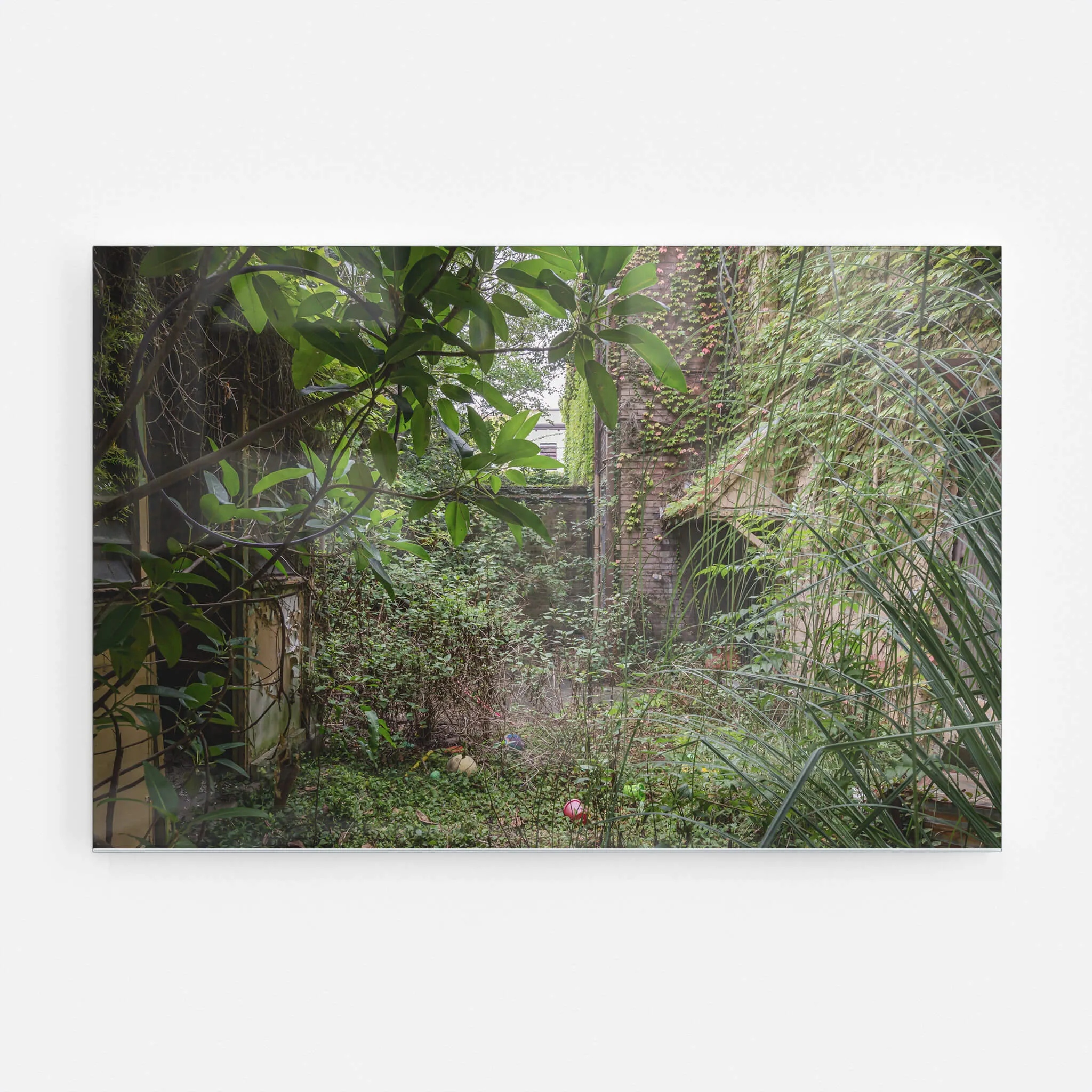 Nature Always Finds A Way | Terminus Hotel