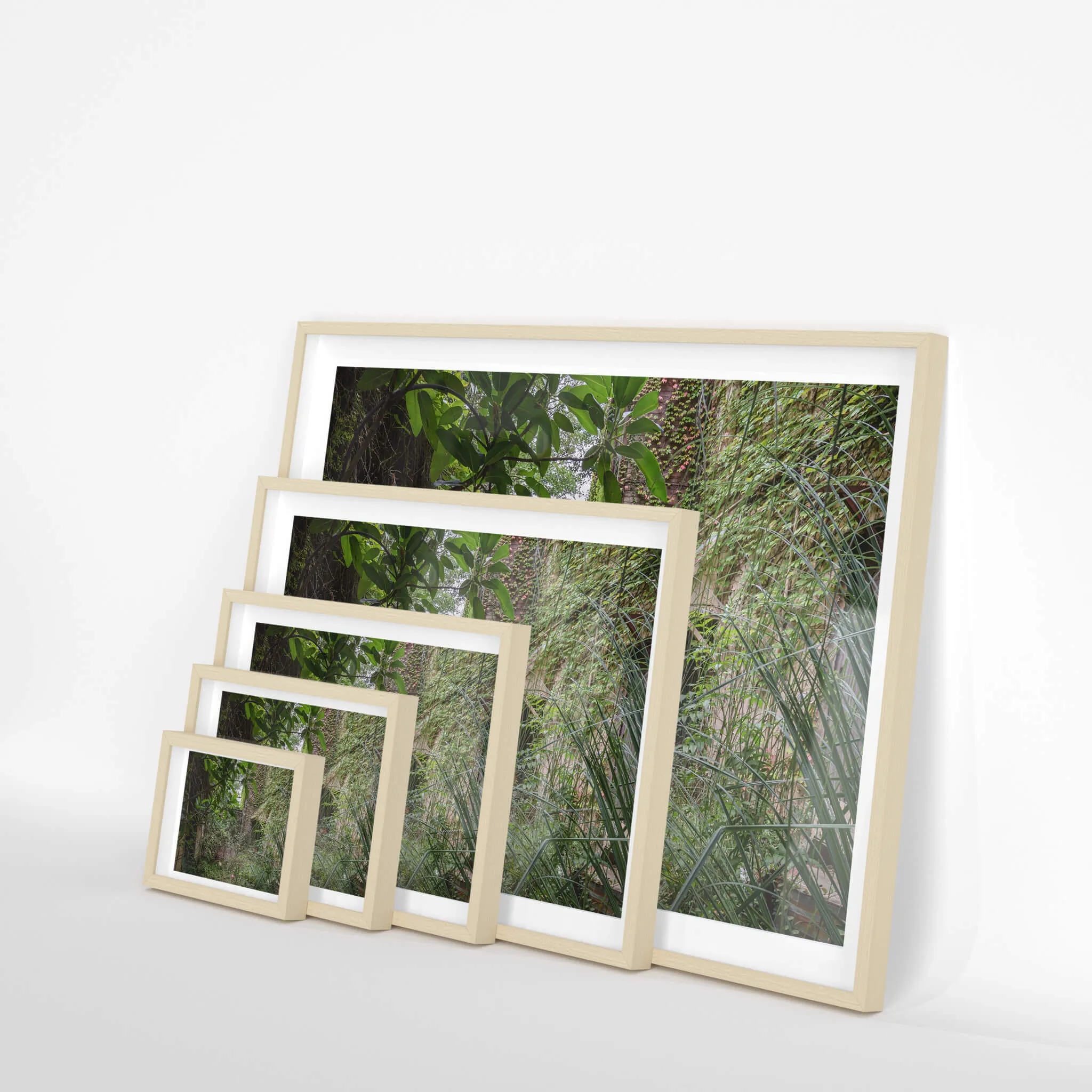 Nature Always Finds A Way | Terminus Hotel