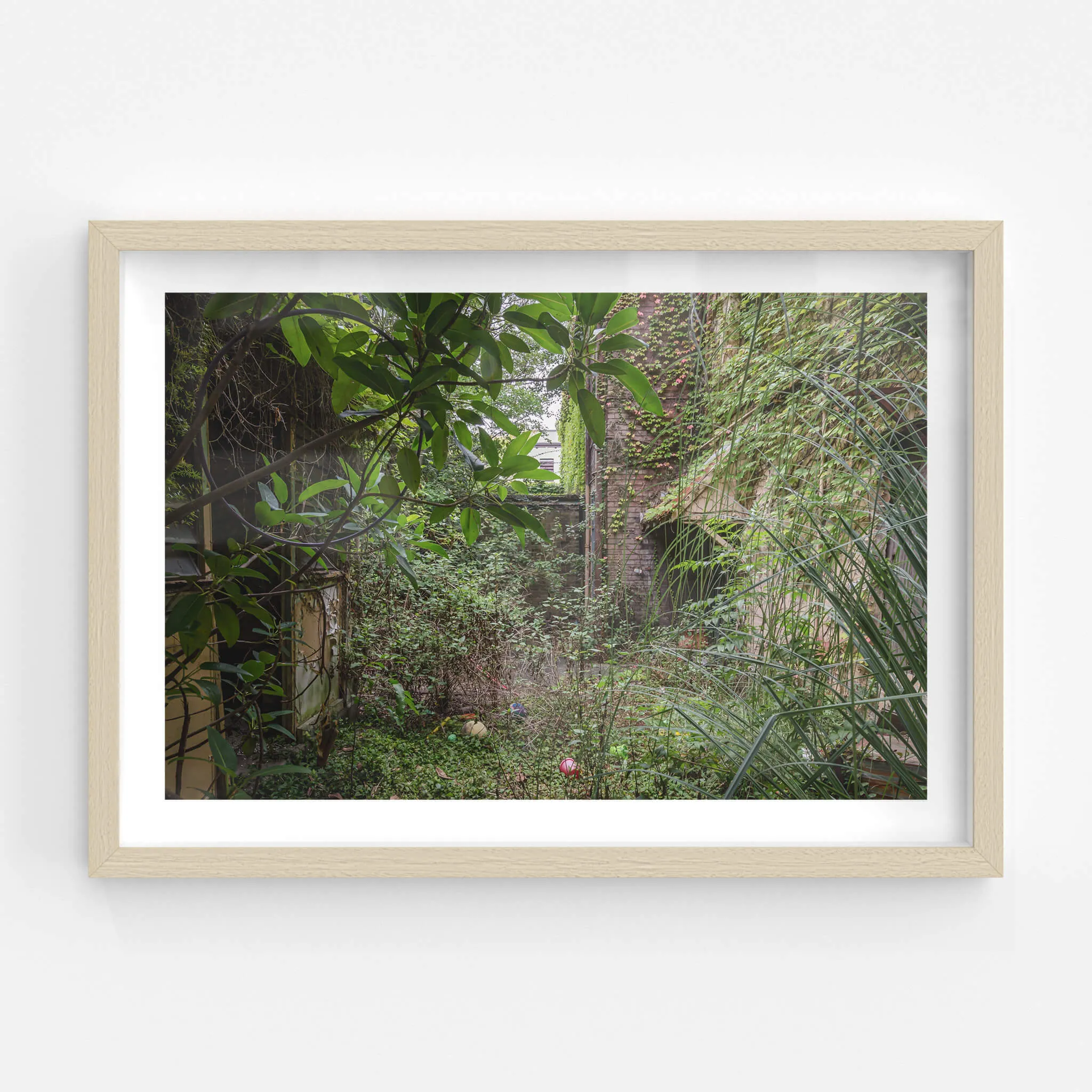 Nature Always Finds A Way | Terminus Hotel