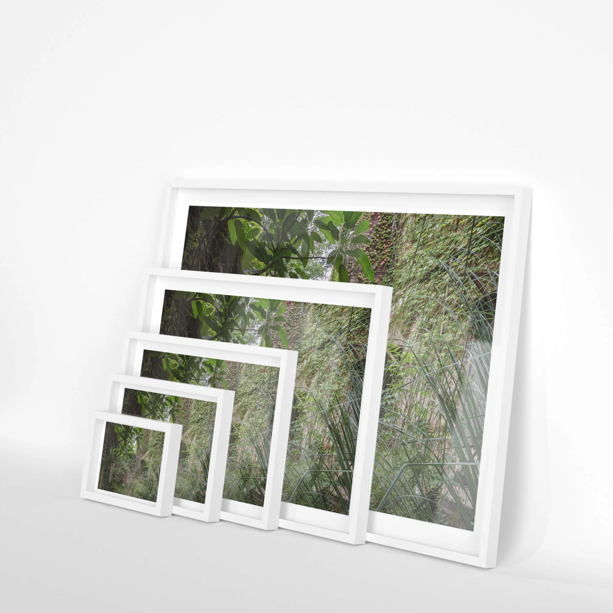 Nature Always Finds A Way | Terminus Hotel