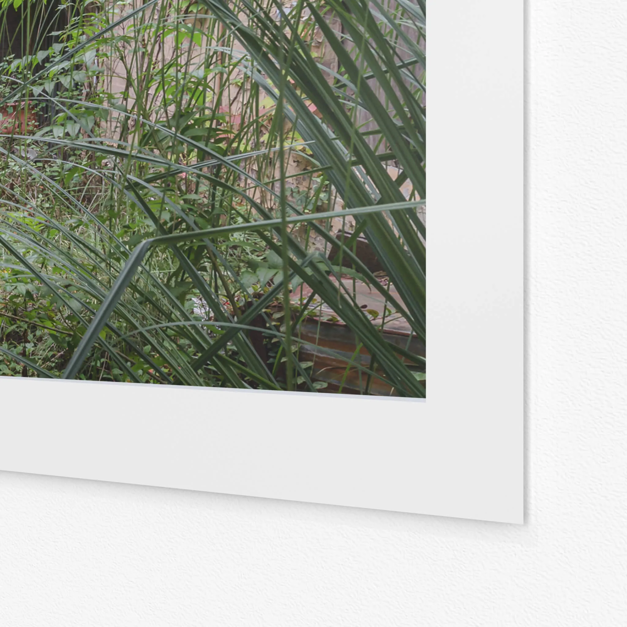 Nature Always Finds A Way | Terminus Hotel