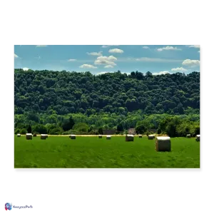 Out Of Giverny Poster 12*8
