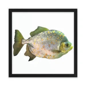 Piranha Green Fish with Specs Framed Poster