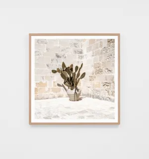 Rustic Courtyard Print