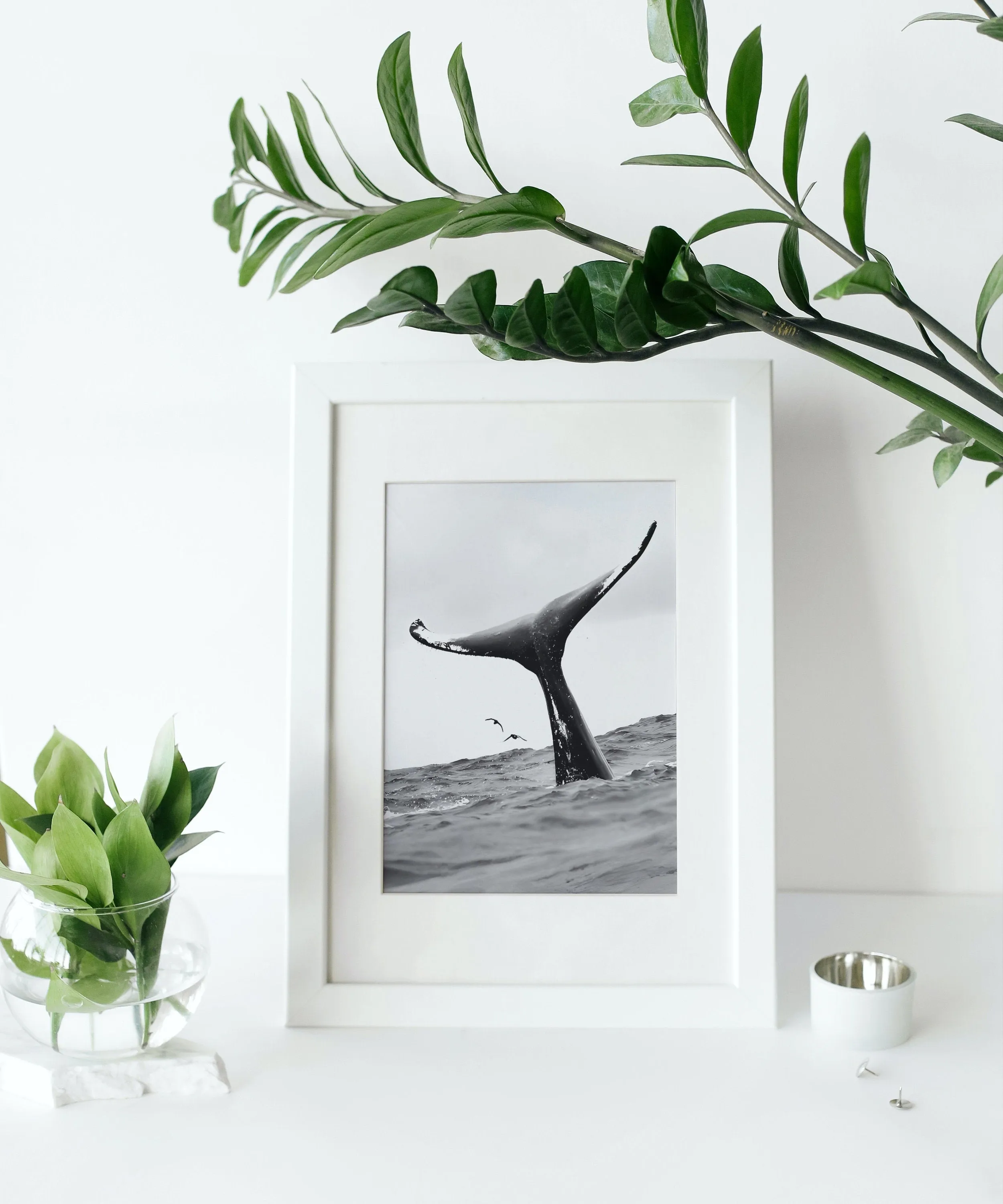 Set Of 5 Fashion Photography Luxury Wall Art INSTANT DOWNLOAD Art Prints, Designer Prints, Chanel Poster, Classy Black And White Prints, Fashion Poster