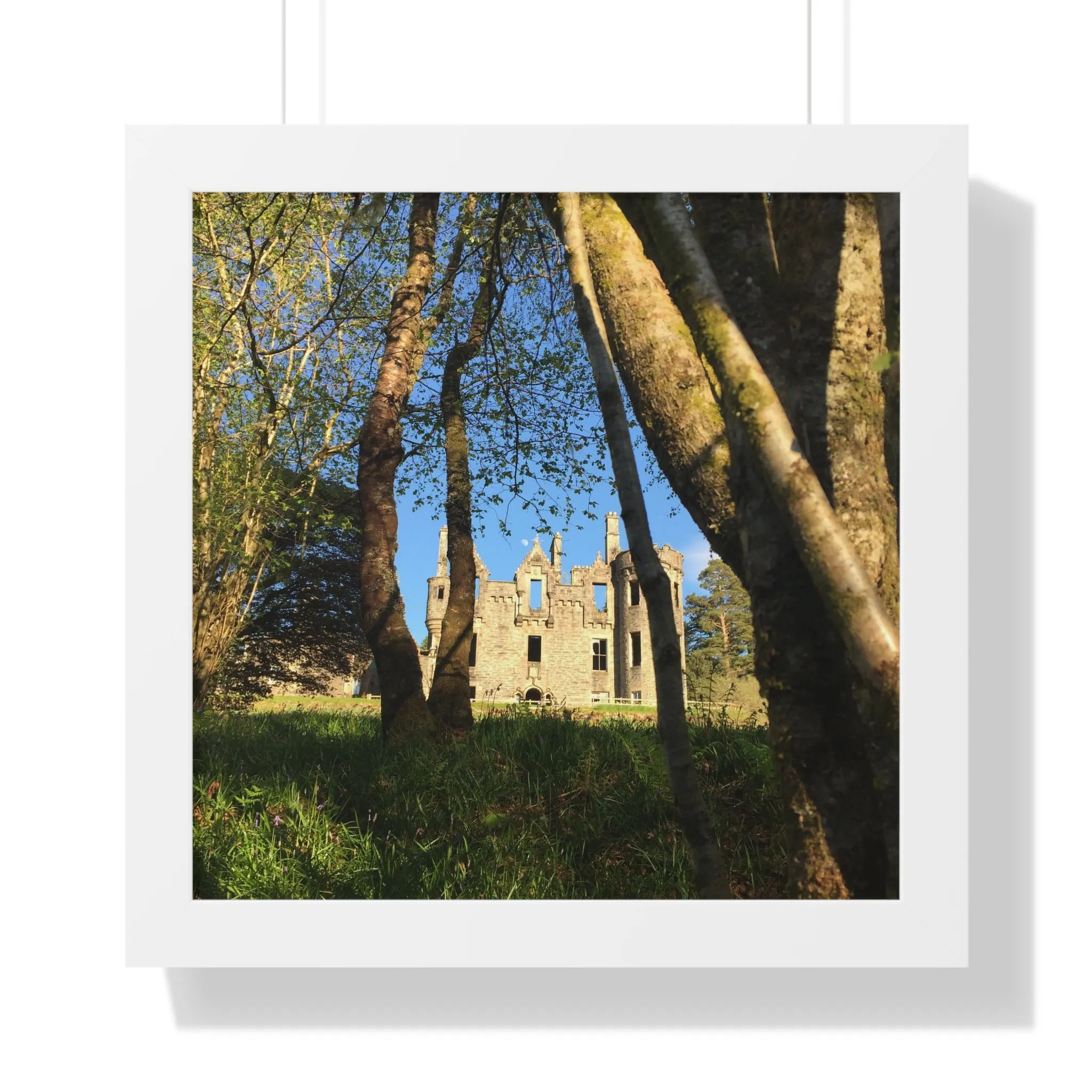 The Castle, the Woodland and the Moon, Framed