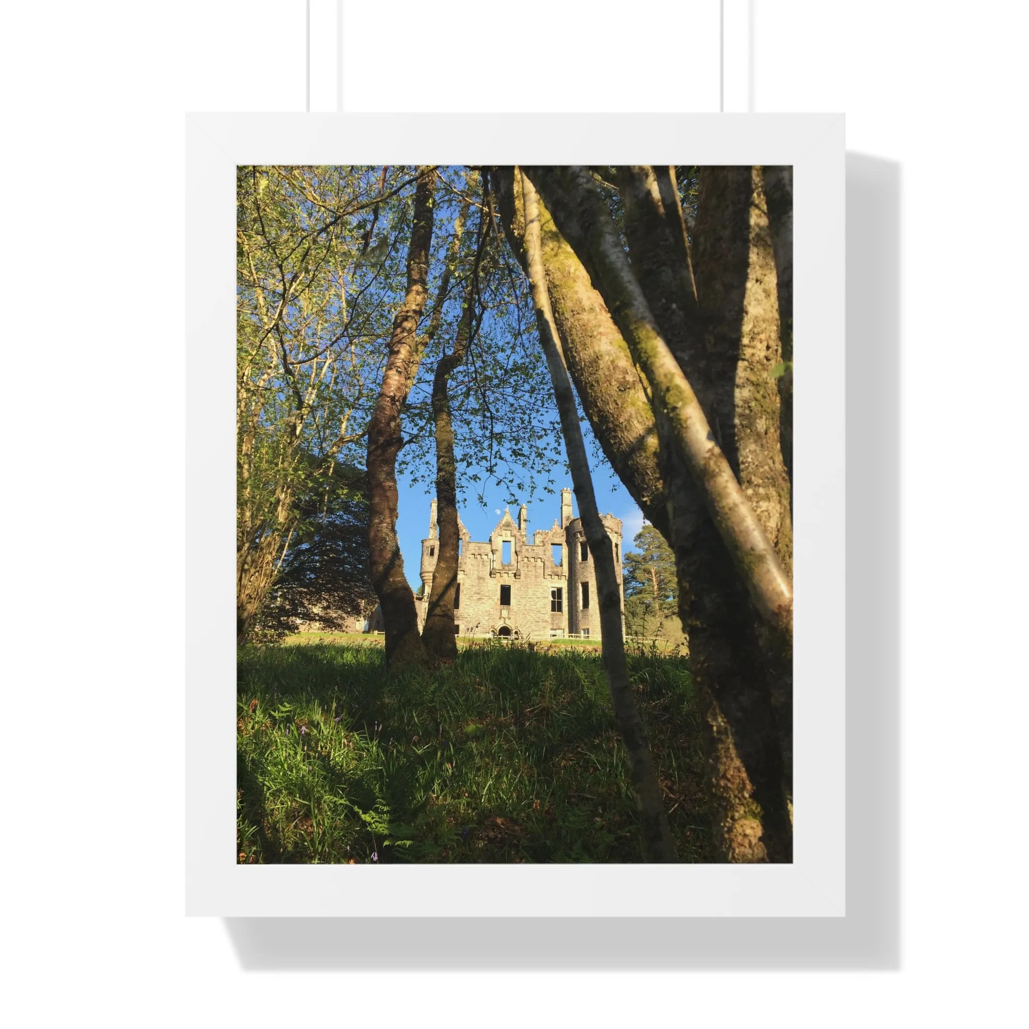 The Castle, the Woodland and the Moon, Framed