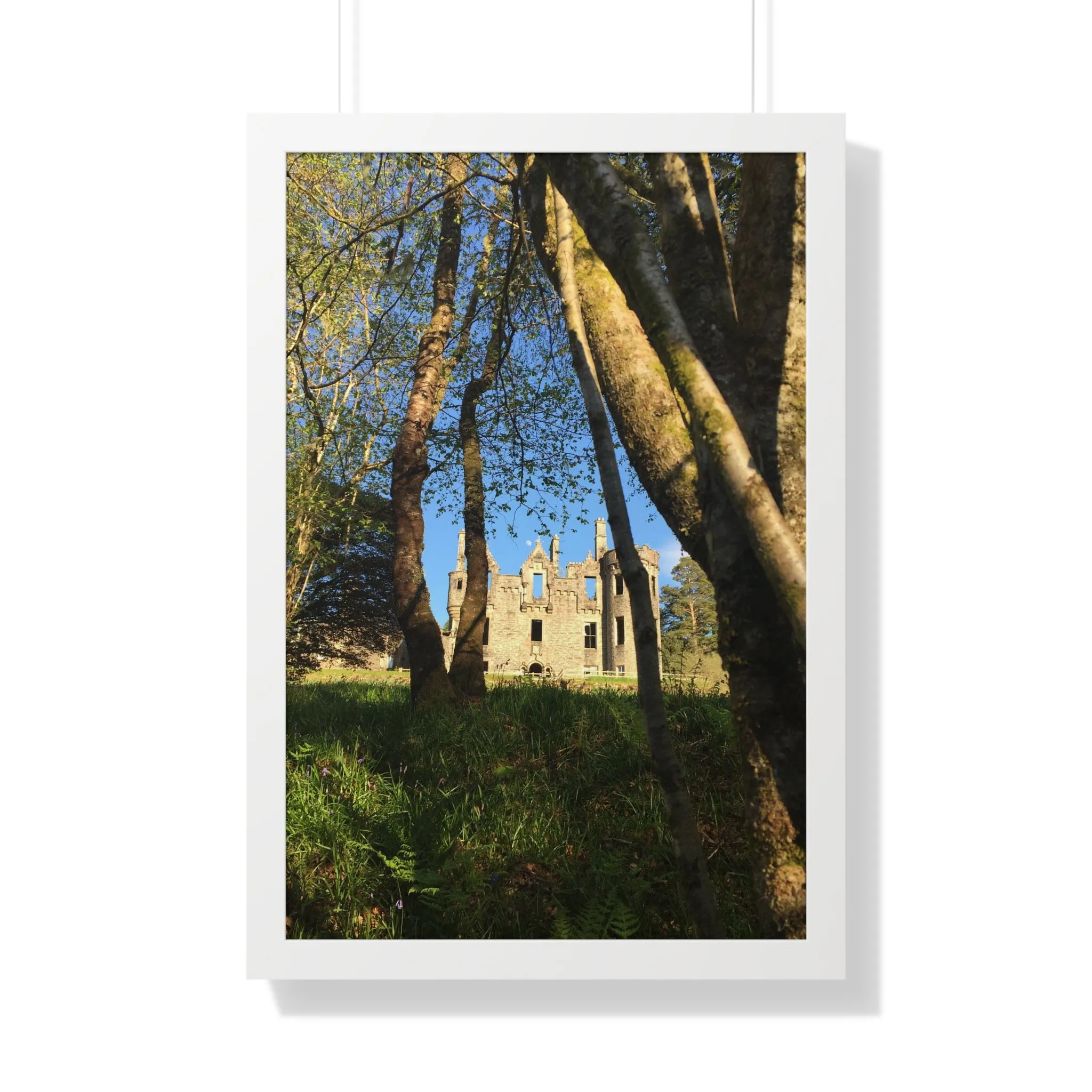The Castle, the Woodland and the Moon, Framed