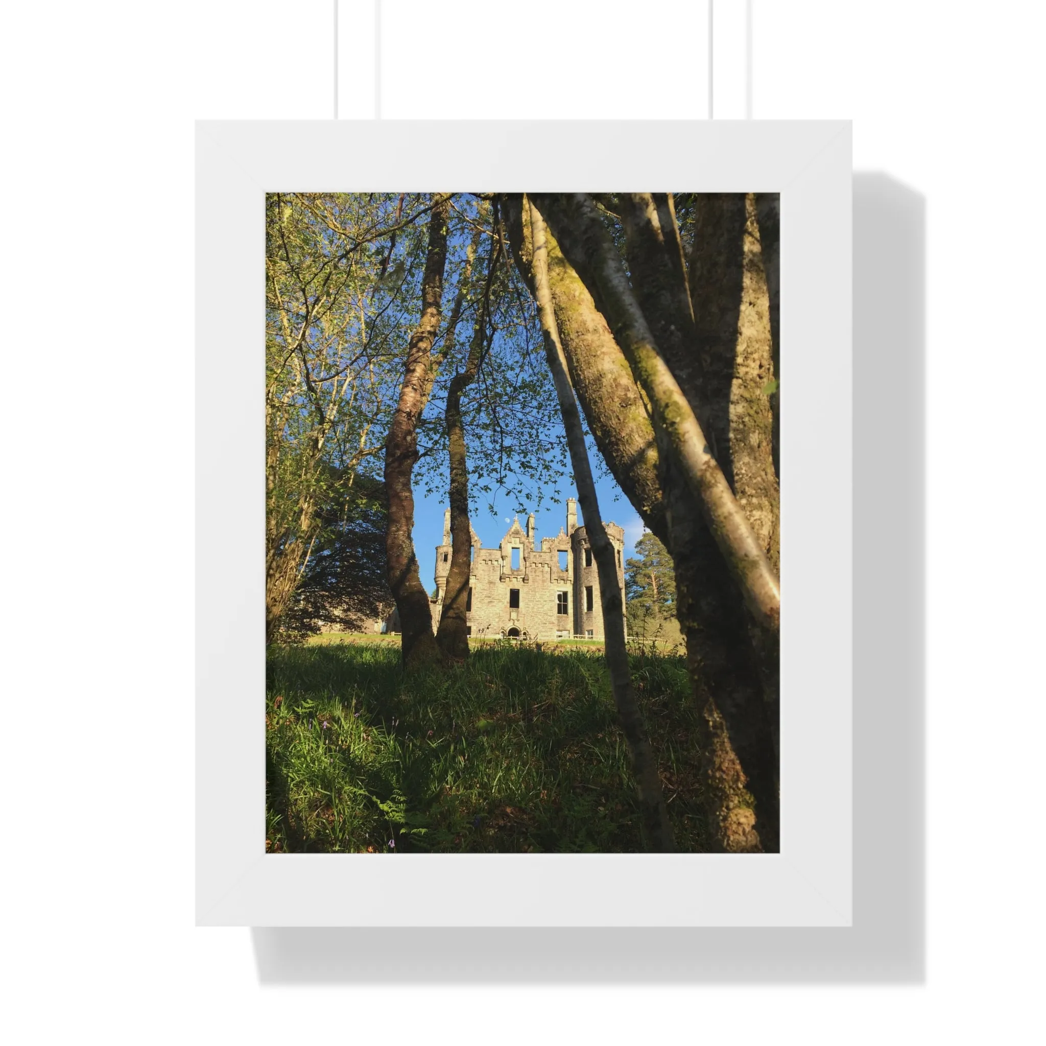 The Castle, the Woodland and the Moon, Framed