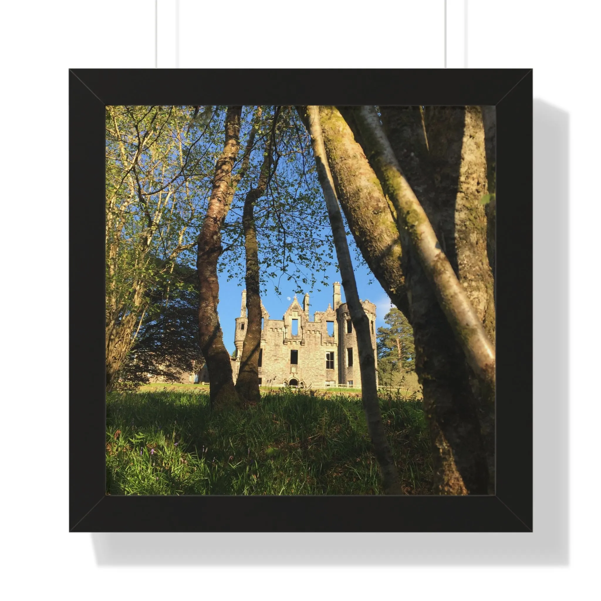 The Castle, the Woodland and the Moon, Framed
