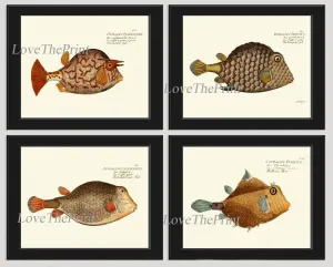 Tropical Fish Prints Wall Art Set of 4 Antique Vintage Marine Nature Sea Ocean Beach House Coastal Bathroom Bedroom Home Decor to Frame BM