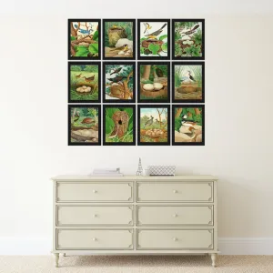 Vintage Birds Wall Art Print Set of 12 Beautiful Nest Eggs Trees Forest Nature Painting Decoration Gallery Interior Home Decor to Frame GT